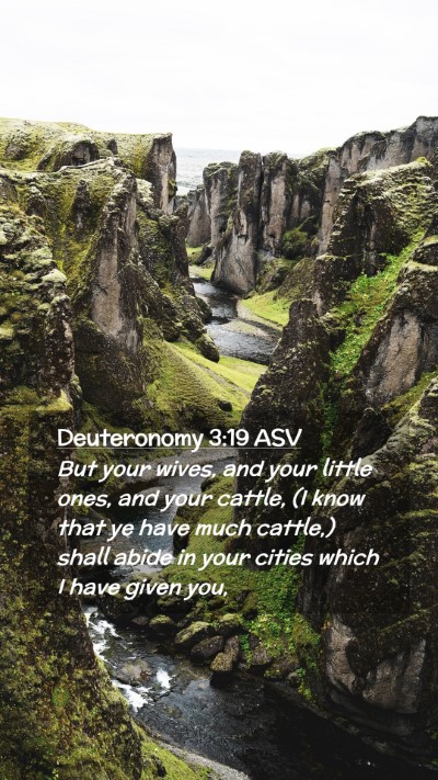 Picture 02 - Deuteronomy 3:19 ASV Mobile Phone Wallpaper - But your wives, and your little ones, and your - Mobile Bible Verse Wallpaper