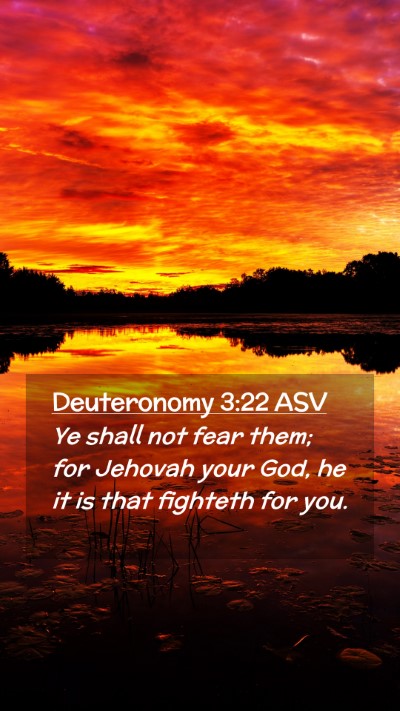 Picture 02 - Deuteronomy 3:22 ASV Mobile Phone Wallpaper - Ye shall not fear them; for Jehovah your God, he - Mobile Bible Verse Wallpaper