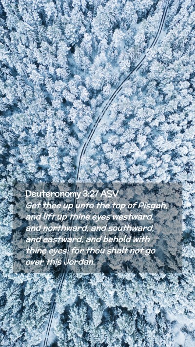 Picture 02 - Deuteronomy 3:27 ASV Mobile Phone Wallpaper - Get thee up unto the top of Pisgah, and lift up - Mobile Bible Verse Wallpaper