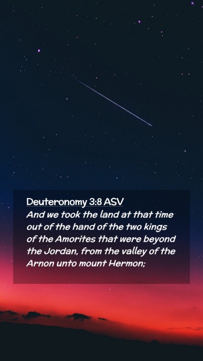 Picture 02 - Deuteronomy 3:8 ASV Mobile Phone Wallpaper - And we took the land at that time out of the hand - Mobile Bible Verse Wallpaper