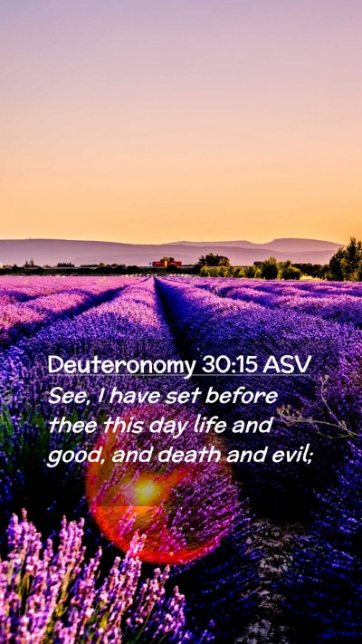 Picture 02 - Deuteronomy 30:15 ASV Mobile Phone Wallpaper - See, I have set before thee this day life and - Mobile Bible Verse Wallpaper