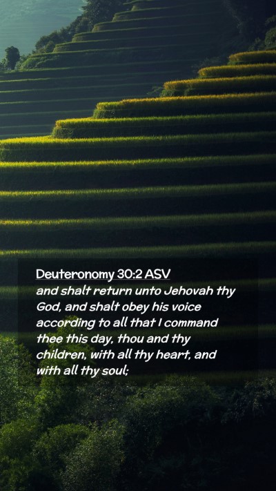 Picture 02 - Deuteronomy 30:2 ASV Mobile Phone Wallpaper - and shalt return unto Jehovah thy God, and shalt - Mobile Bible Verse Wallpaper