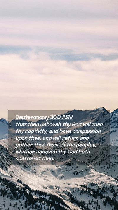 Picture 02 - Deuteronomy 30:3 ASV Mobile Phone Wallpaper - that then Jehovah thy God will turn thy - Mobile Bible Verse Wallpaper