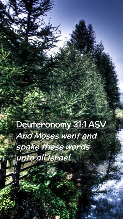 Picture 02 - Deuteronomy 31:1 ASV Mobile Phone Wallpaper - And Moses went and spake these words unto all - Mobile Bible Verse Wallpaper