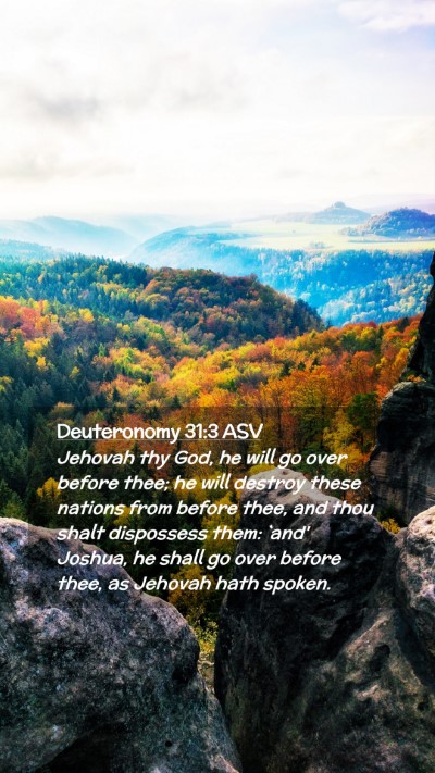 Picture 02 - Deuteronomy 31:3 ASV Mobile Phone Wallpaper - Jehovah thy God, he will go over before thee; he - Mobile Bible Verse Wallpaper