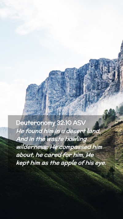 Picture 02 - Deuteronomy 32:10 ASV Mobile Phone Wallpaper - He found him in a desert land, And in the waste - Mobile Bible Verse Wallpaper