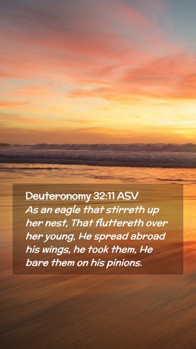 Picture 02 - Deuteronomy 32:11 ASV Mobile Phone Wallpaper - As an eagle that stirreth up her nest, That - Mobile Bible Verse Wallpaper