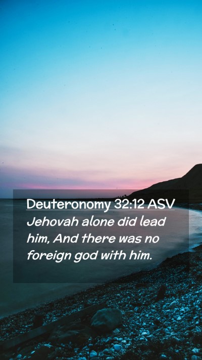 Picture 02 - Deuteronomy 32:12 ASV Mobile Phone Wallpaper - Jehovah alone did lead him, And there was no - Mobile Bible Verse Wallpaper