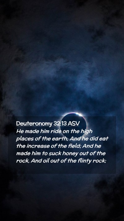 Picture 02 - Deuteronomy 32:13 ASV Mobile Phone Wallpaper - He made him ride on the high places of the earth, - Mobile Bible Verse Wallpaper