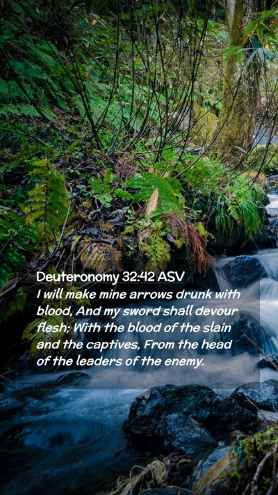 Picture 02 - Deuteronomy 32:42 ASV Mobile Phone Wallpaper - I will make mine arrows drunk with blood, And my - Mobile Bible Verse Wallpaper