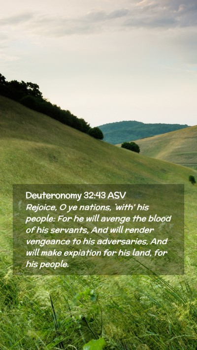 Picture 02 - Deuteronomy 32:43 ASV Mobile Phone Wallpaper - Rejoice, O ye nations, `with' his people: For he - Mobile Bible Verse Wallpaper