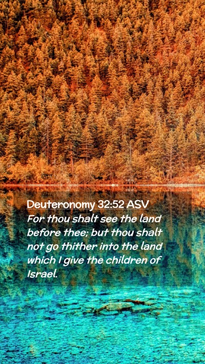 Picture 02 - Deuteronomy 32:52 ASV Mobile Phone Wallpaper - For thou shalt see the land before thee; but thou - Mobile Bible Verse Wallpaper