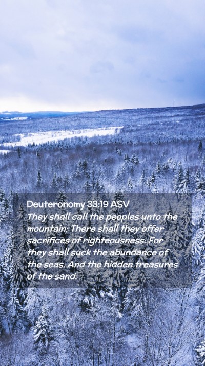 Picture 02 - Deuteronomy 33:19 ASV Mobile Phone Wallpaper - They shall call the peoples unto the mountain; - Mobile Bible Verse Wallpaper