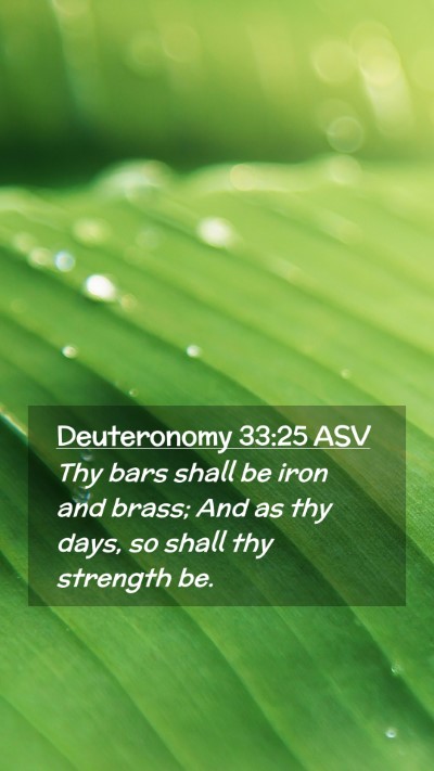 Picture 02 - Deuteronomy 33:25 ASV Mobile Phone Wallpaper - Thy bars shall be iron and brass; And as thy - Mobile Bible Verse Wallpaper