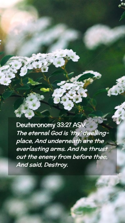 Picture 02 - Deuteronomy 33:27 ASV Mobile Phone Wallpaper - The eternal God is `thy' dwelling-place, And - Mobile Bible Verse Wallpaper