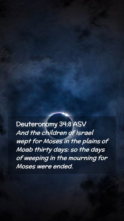 Picture 02 - Deuteronomy 34:8 ASV Mobile Phone Wallpaper - And the children of Israel wept for Moses in the - Mobile Bible Verse Wallpaper