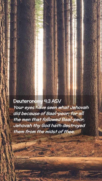 Picture 02 - Deuteronomy 4:3 ASV Mobile Phone Wallpaper - Your eyes have seen what Jehovah did because of - Mobile Bible Verse Wallpaper