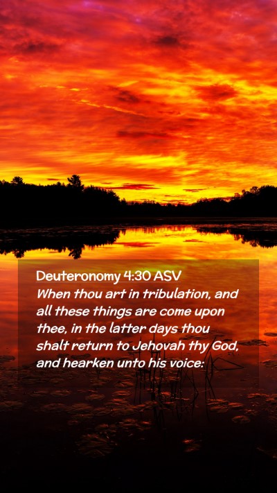 Picture 02 - Deuteronomy 4:30 ASV Mobile Phone Wallpaper - When thou art in tribulation, and all these - Mobile Bible Verse Wallpaper