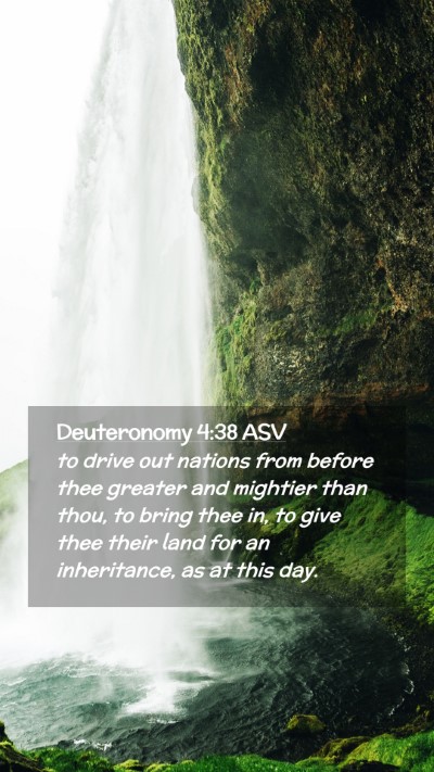 Picture 02 - Deuteronomy 4:38 ASV Mobile Phone Wallpaper - to drive out nations from before thee greater and - Mobile Bible Verse Wallpaper