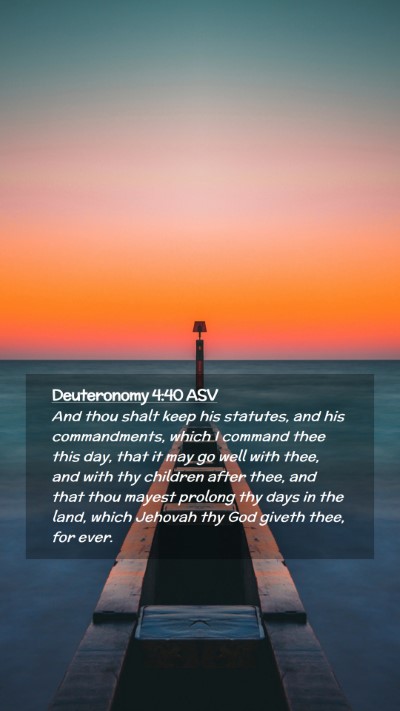 Picture 02 - Deuteronomy 4:40 ASV Mobile Phone Wallpaper - And thou shalt keep his statutes, and his - Mobile Bible Verse Wallpaper