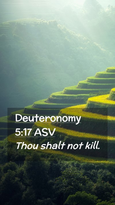 Picture 02 - Deuteronomy 5:17 ASV Mobile Phone Wallpaper - Thou shalt not - Mobile Bible Verse Wallpaper