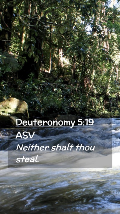 Picture 02 - Deuteronomy 5:19 ASV Mobile Phone Wallpaper - Neither shalt thou - Mobile Bible Verse Wallpaper