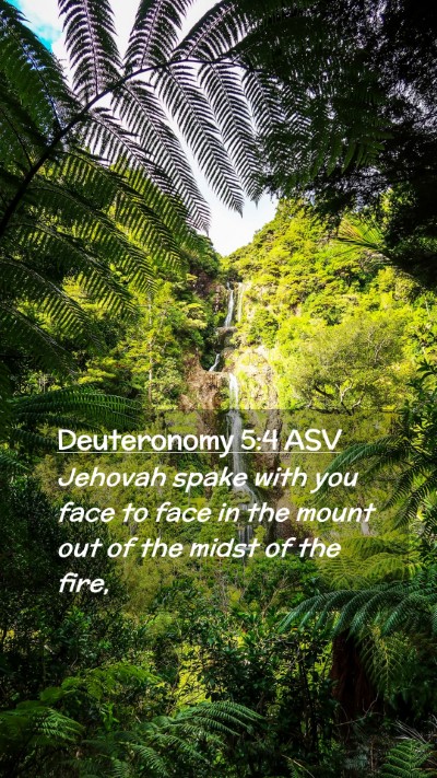 Picture 02 - Deuteronomy 5:4 ASV Mobile Phone Wallpaper - Jehovah spake with you face to face in the mount - Mobile Bible Verse Wallpaper
