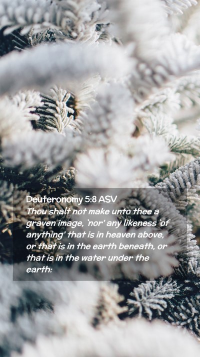 Picture 02 - Deuteronomy 5:8 ASV Mobile Phone Wallpaper - Thou shalt not make unto thee a graven image, - Mobile Bible Verse Wallpaper