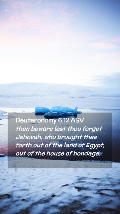 Picture 02 - Deuteronomy 6:12 ASV Mobile Phone Wallpaper - then beware lest thou forget Jehovah, who brought - Mobile Bible Verse Wallpaper