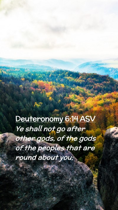Picture 02 - Deuteronomy 6:14 ASV Mobile Phone Wallpaper - Ye shall not go after other gods, of the gods of - Mobile Bible Verse Wallpaper