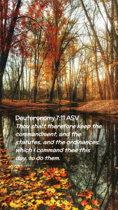 Picture 02 - Deuteronomy 7:11 ASV Mobile Phone Wallpaper - Thou shalt therefore keep the commandment, and - Mobile Bible Verse Wallpaper