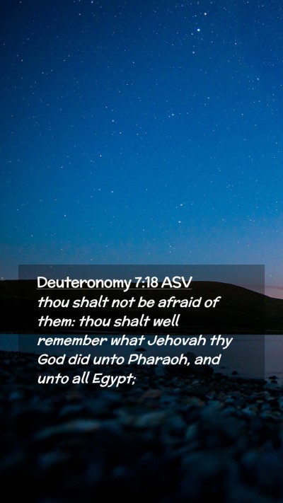Picture 02 - Deuteronomy 7:18 ASV Mobile Phone Wallpaper - thou shalt not be afraid of them: thou shalt well - Mobile Bible Verse Wallpaper