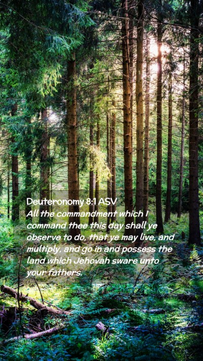 Picture 02 - Deuteronomy 8:1 ASV Mobile Phone Wallpaper - All the commandment which I command thee this day - Mobile Bible Verse Wallpaper