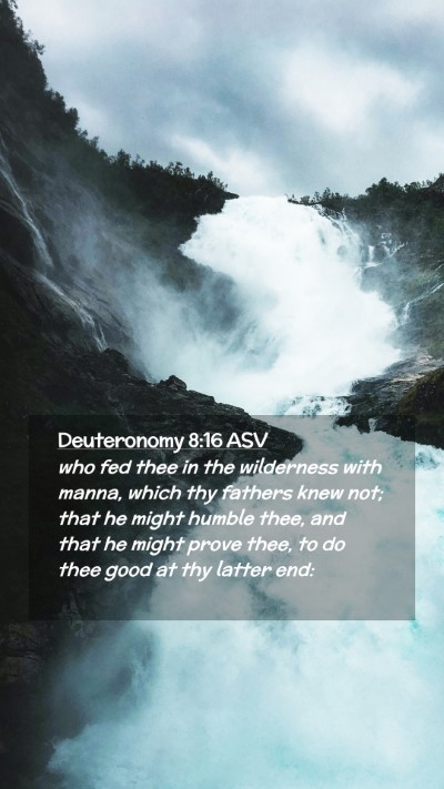 Picture 02 - Deuteronomy 8:16 ASV Mobile Phone Wallpaper - who fed thee in the wilderness with manna, which - Mobile Bible Verse Wallpaper