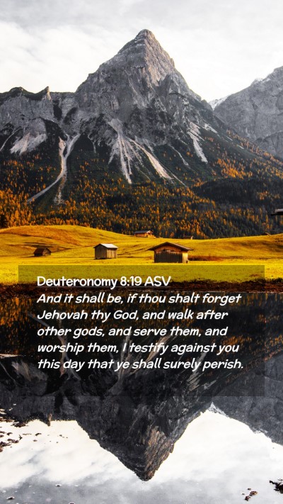 Picture 02 - Deuteronomy 8:19 ASV Mobile Phone Wallpaper - And it shall be, if thou shalt forget Jehovah thy - Mobile Bible Verse Wallpaper