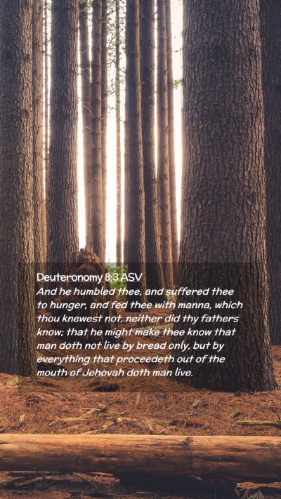 Picture 02 - Deuteronomy 8:3 ASV Mobile Phone Wallpaper - And he humbled thee, and suffered thee to hunger, - Mobile Bible Verse Wallpaper