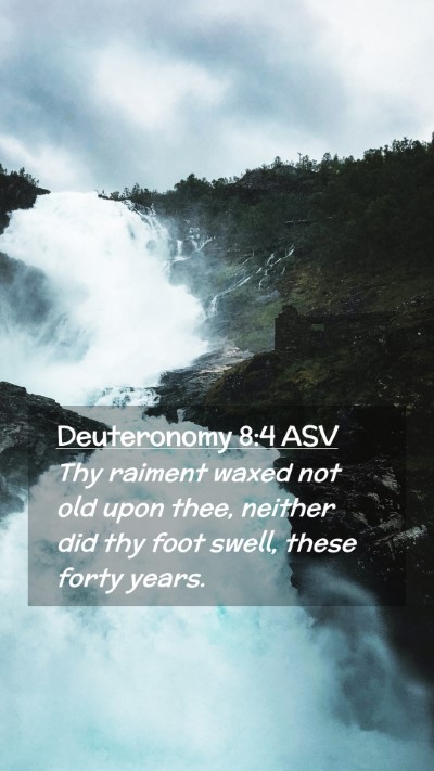 Picture 02 - Deuteronomy 8:4 ASV Mobile Phone Wallpaper - Thy raiment waxed not old upon thee, neither did - Mobile Bible Verse Wallpaper