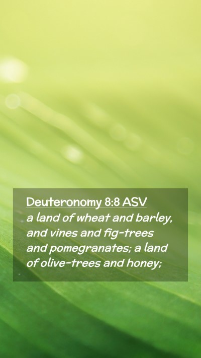 Picture 02 - Deuteronomy 8:8 ASV Mobile Phone Wallpaper - a land of wheat and barley, and vines and - Mobile Bible Verse Wallpaper