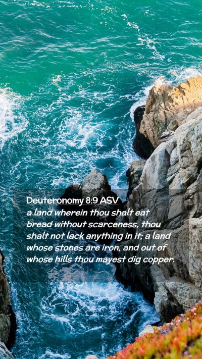 Picture 02 - Deuteronomy 8:9 ASV Mobile Phone Wallpaper - a land wherein thou shalt eat bread without - Mobile Bible Verse Wallpaper