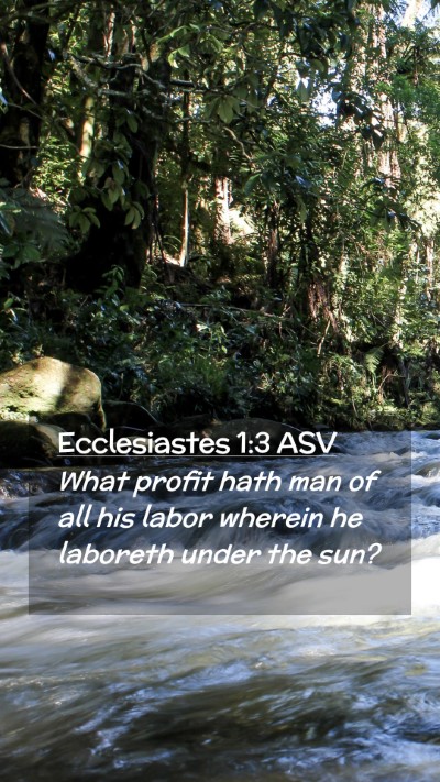 Picture 02 - Ecclesiastes 1:3 ASV Mobile Phone Wallpaper - What profit hath man of all his labor wherein he - Mobile Bible Verse Wallpaper