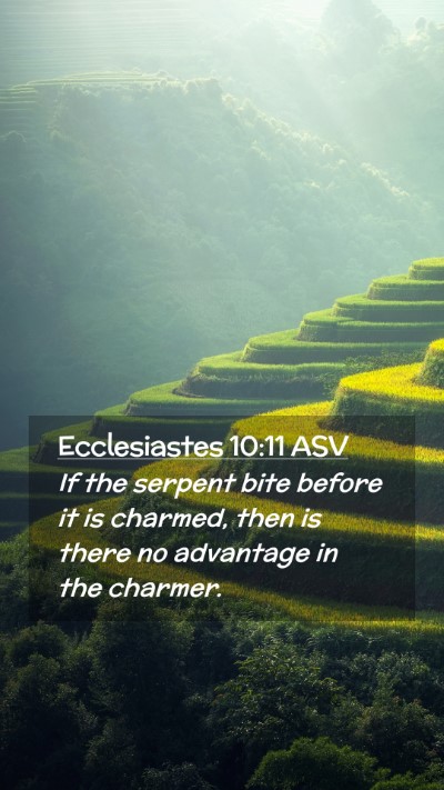 Picture 02 - Ecclesiastes 10:11 ASV Mobile Phone Wallpaper - If the serpent bite before it is charmed, then is - Mobile Bible Verse Wallpaper