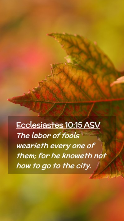 Picture 02 - Ecclesiastes 10:15 ASV Mobile Phone Wallpaper - The labor of fools wearieth every one of them; - Mobile Bible Verse Wallpaper