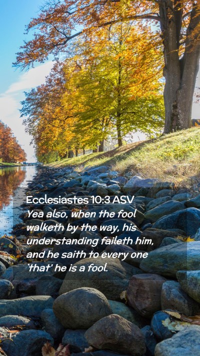 Picture 02 - Ecclesiastes 10:3 ASV Mobile Phone Wallpaper - Yea also, when the fool walketh by the way, his - Mobile Bible Verse Wallpaper