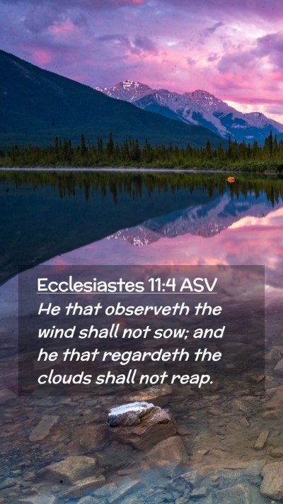 Picture 02 - Ecclesiastes 11:4 ASV Mobile Phone Wallpaper - He that observeth the wind shall not sow; and he - Mobile Bible Verse Wallpaper