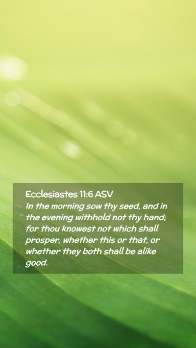Picture 02 - Ecclesiastes 11:6 ASV Mobile Phone Wallpaper - In the morning sow thy seed, and in the evening - Mobile Bible Verse Wallpaper