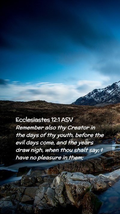 Picture 02 - Ecclesiastes 12:1 ASV Mobile Phone Wallpaper - Remember also thy Creator in the days of thy - Mobile Bible Verse Wallpaper