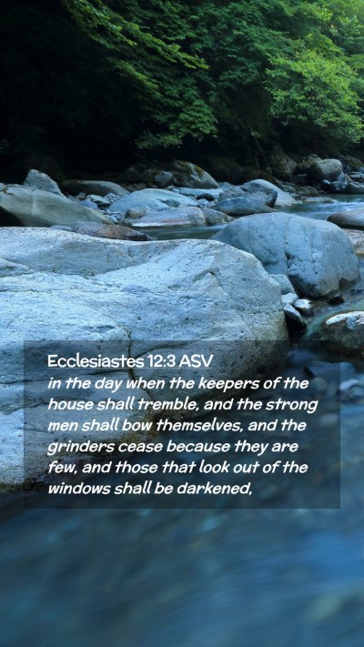 Picture 02 - Ecclesiastes 12:3 ASV Mobile Phone Wallpaper - in the day when the keepers of the house shall - Mobile Bible Verse Wallpaper