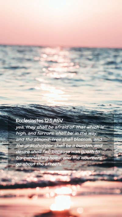 Picture 02 - Ecclesiastes 12:5 ASV Mobile Phone Wallpaper - yea, they shall be afraid of `that which is' - Mobile Bible Verse Wallpaper