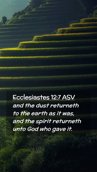 Picture 02 - Ecclesiastes 12:7 ASV Mobile Phone Wallpaper - and the dust returneth to the earth as it was, - Mobile Bible Verse Wallpaper
