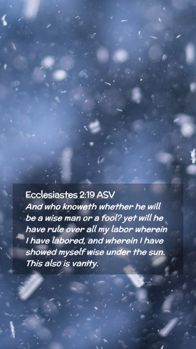 Picture 02 - Ecclesiastes 2:19 ASV Mobile Phone Wallpaper - And who knoweth whether he will be a wise man or - Mobile Bible Verse Wallpaper